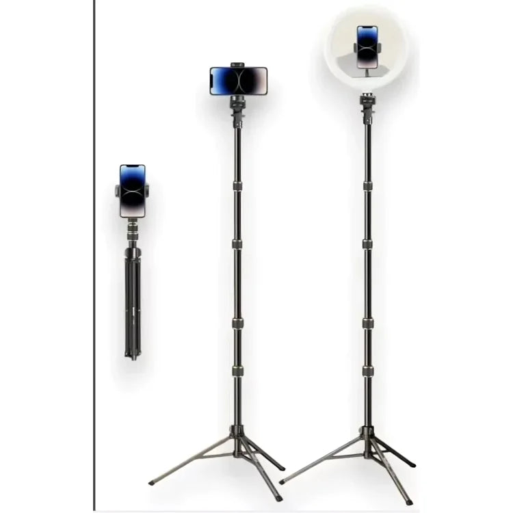 Sticks & Stands